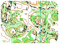 Březnovka ve Slovinsku: drezura lesní odolnosti