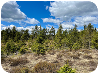 NOMINAČNÍ ZÁVODY PRO MS/SP1